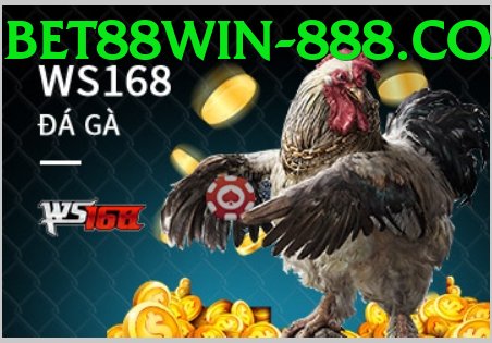 Đá Gà Trực Tiếp - Ưu đãi đặc biệt